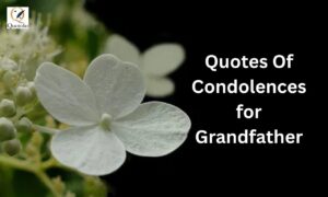 Heartfelt condolences quotes for grandfather with remembrance and sympathy messages