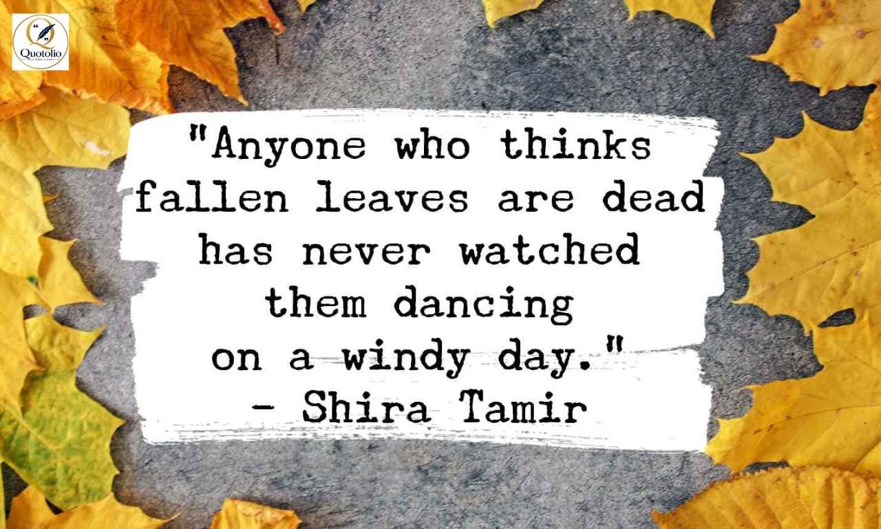Cute Fall Quotes