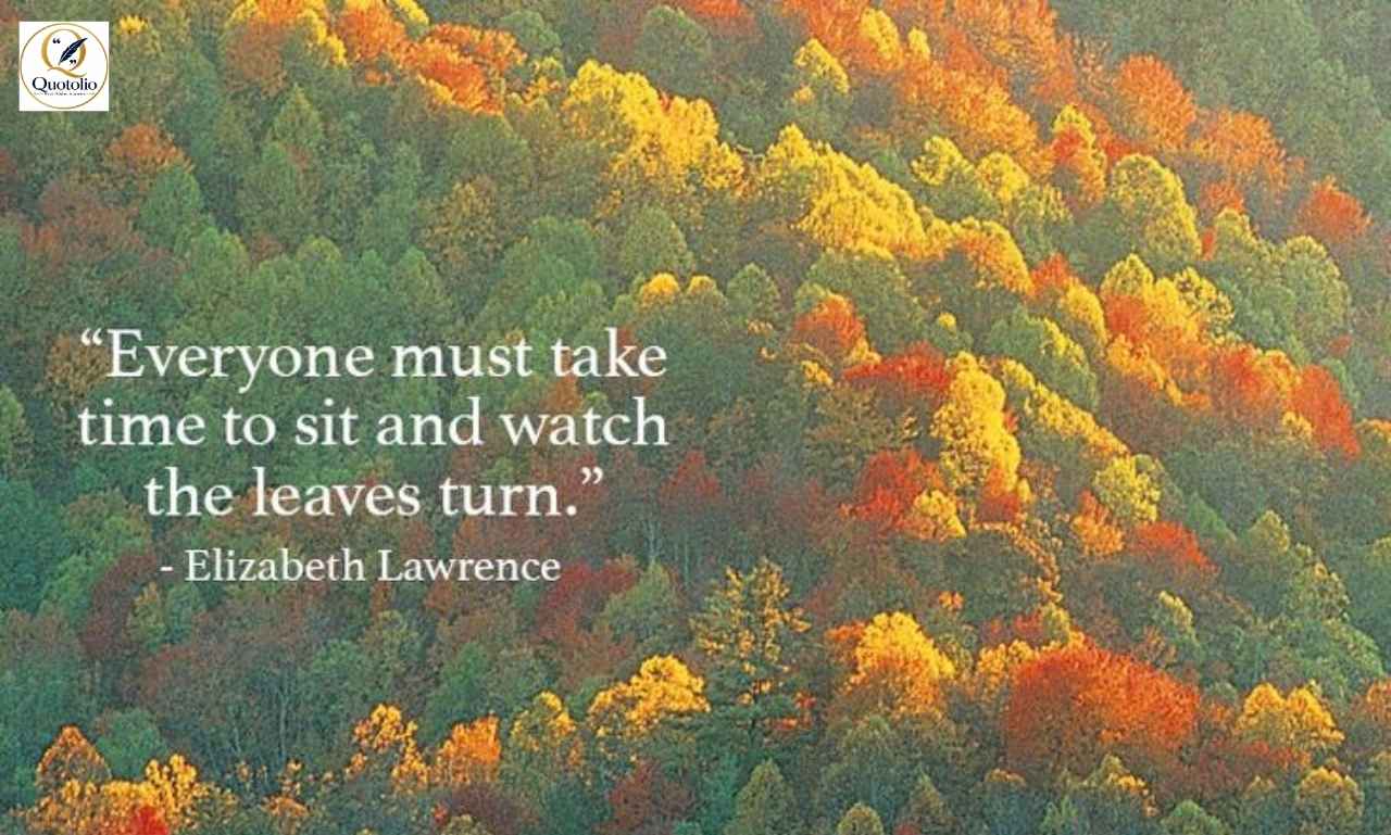 Cute Fall Quotes