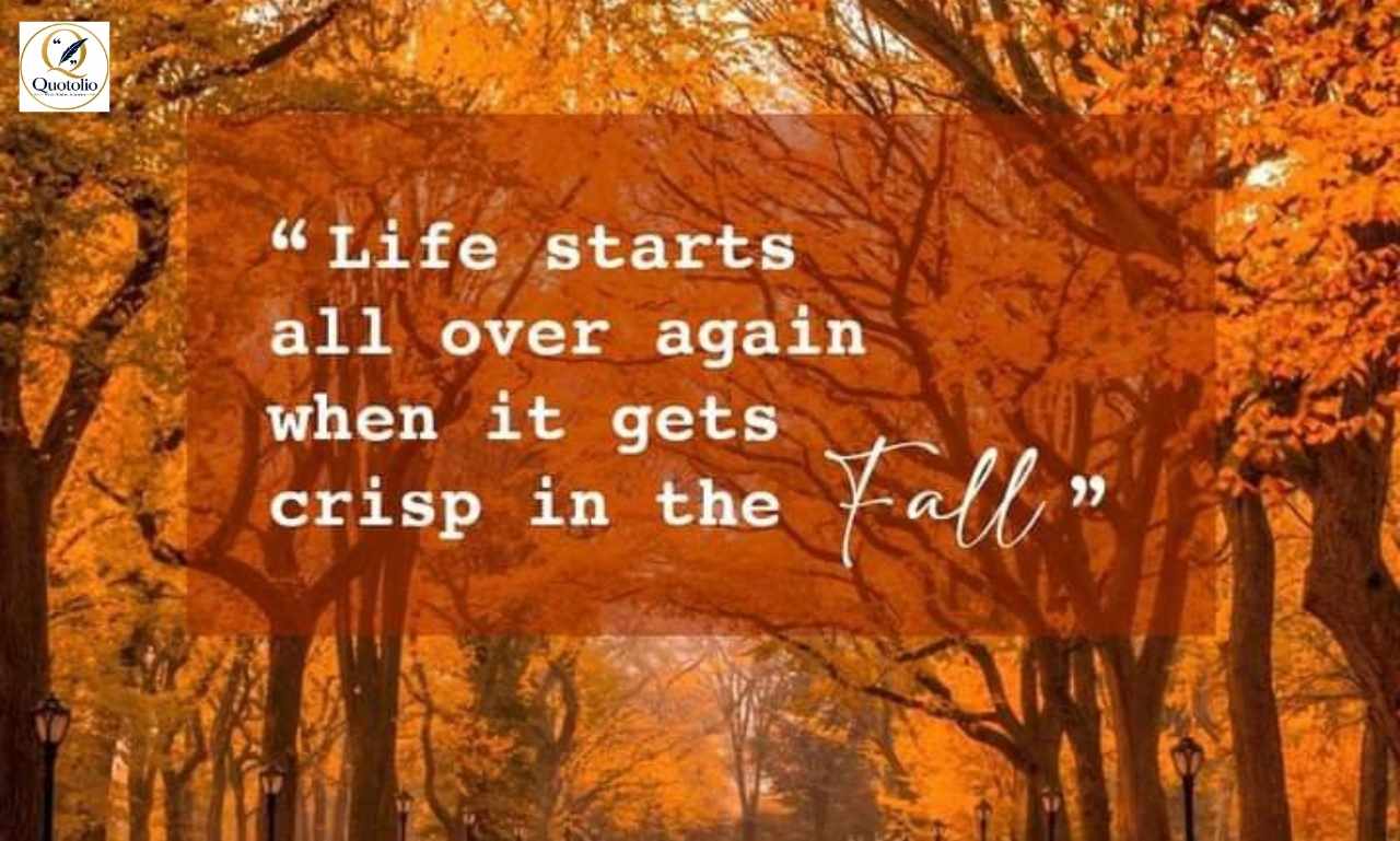 Cute Fall Quotes