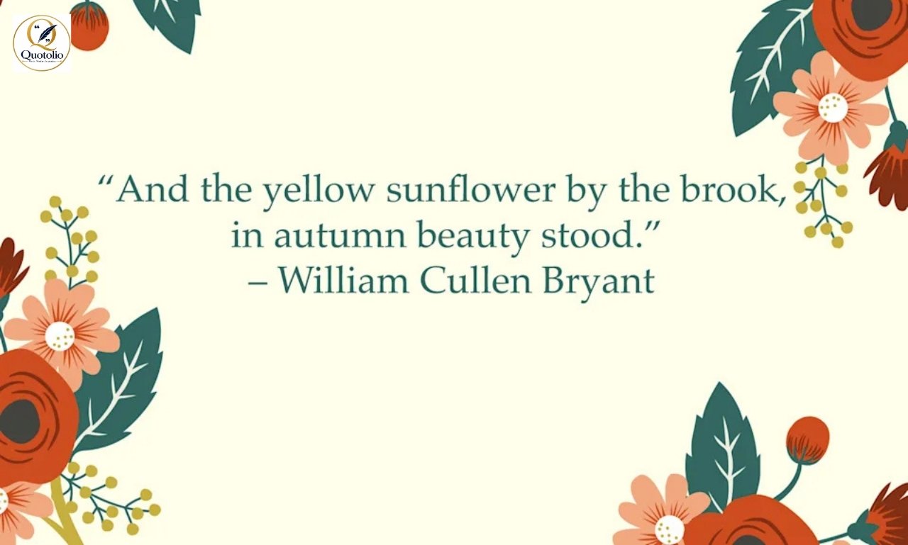 Cute Fall Quotes
