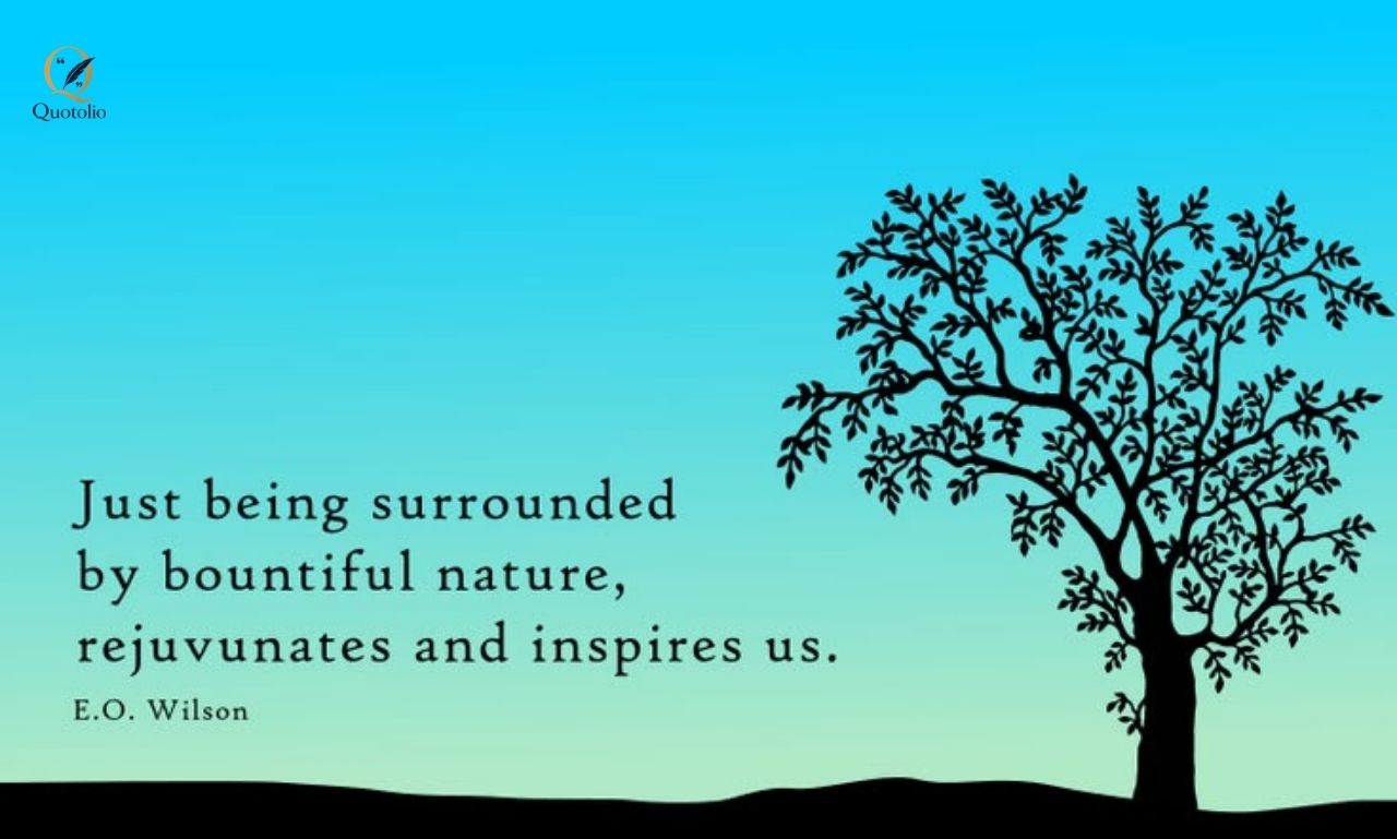 Nature Healing Quotes