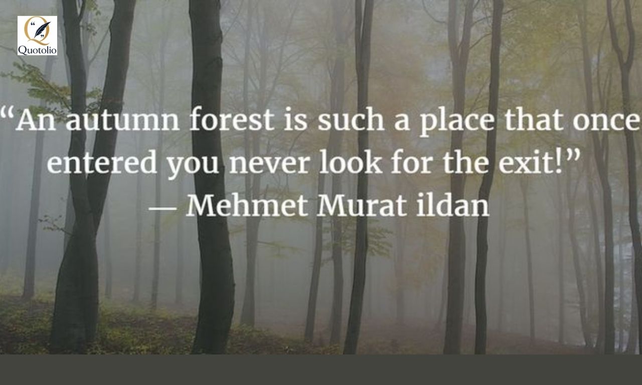 Nature Healing Quotes