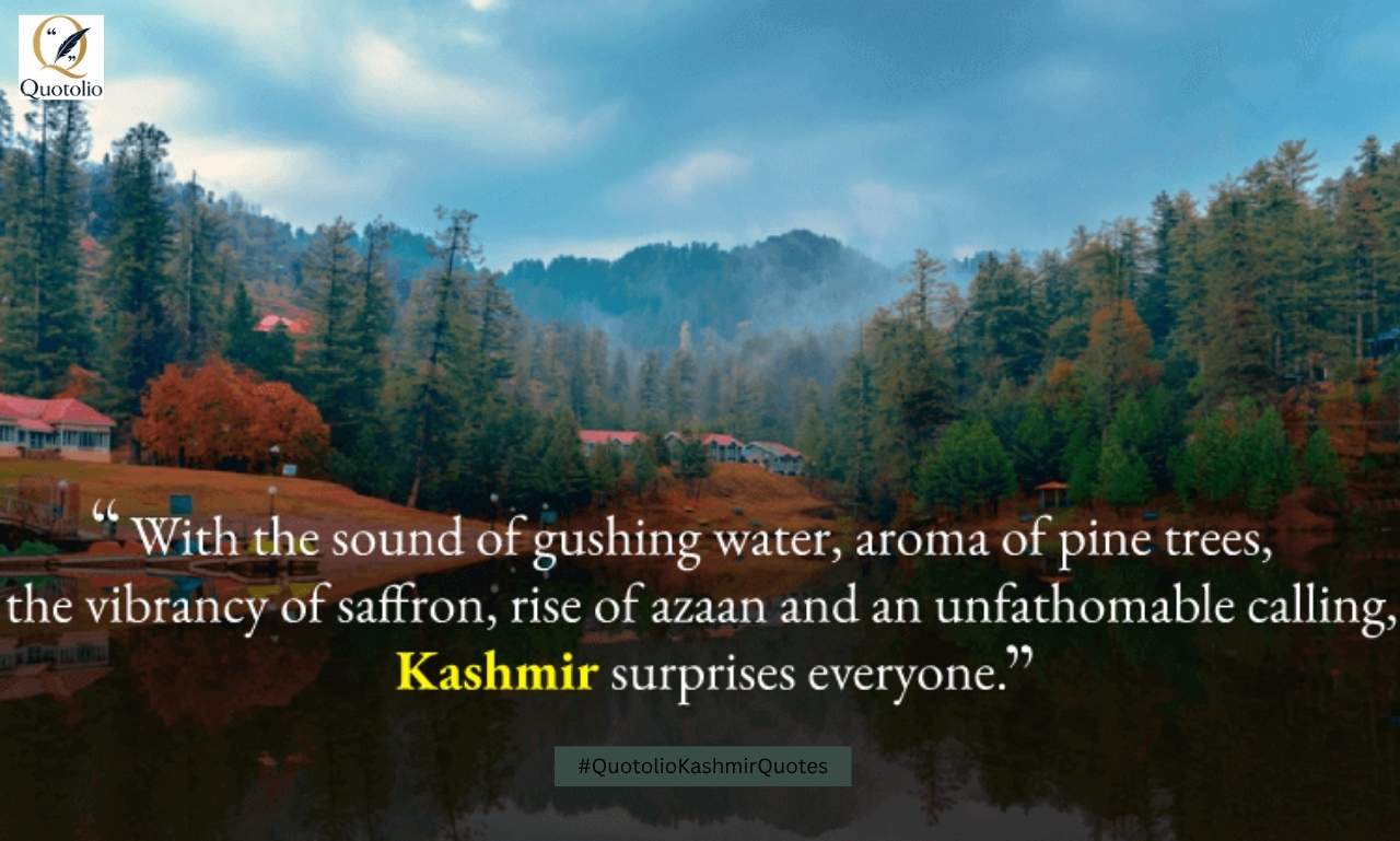 Stand with Kashmir Quotes