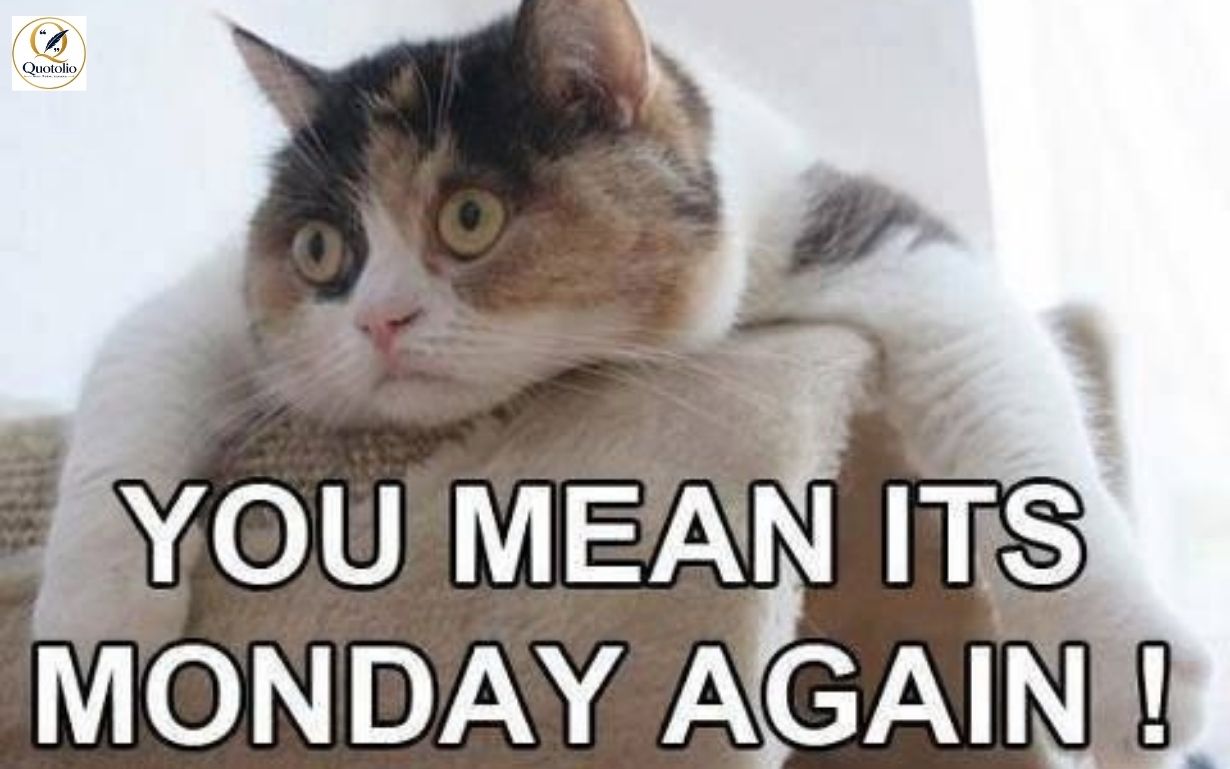 Monday Quotes Funny
