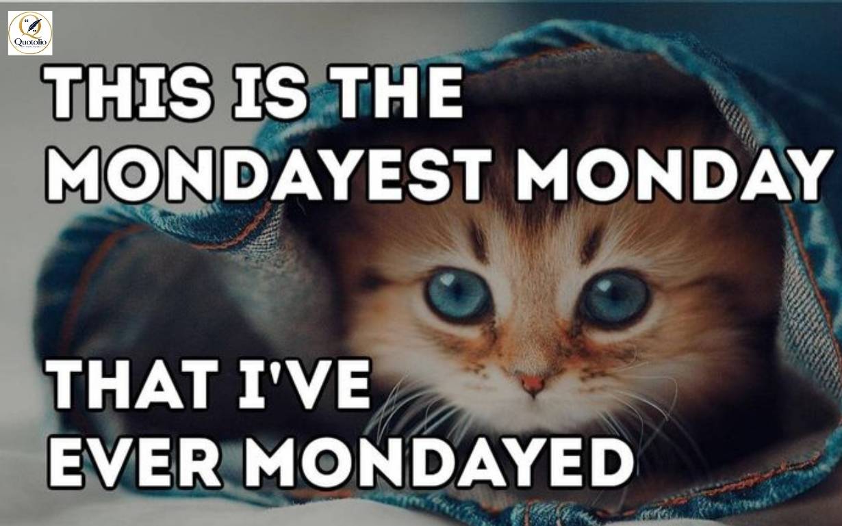 Monday Quotes Funny