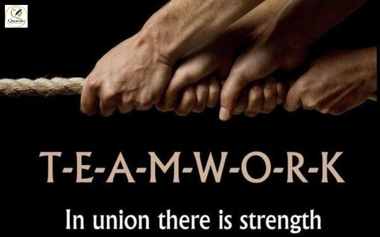 Team Work Quotes
